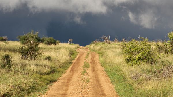 landscapeBFBA1148-FFB3-36E0-1AB4-E1070F439702.jpg